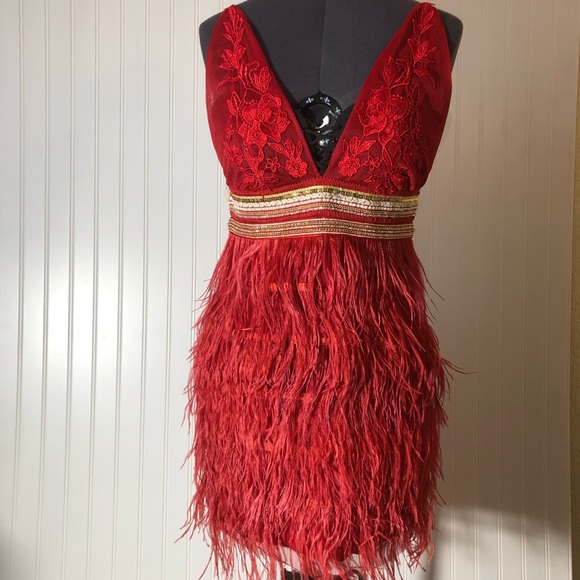 Dresses & Skirts - Feather Dress